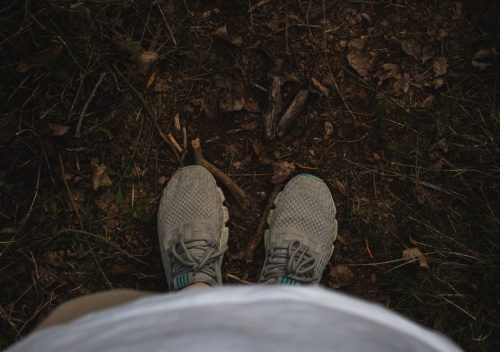 Allbirds Vs On Cloud: Allbirds vs. On Cloud: Which Sneaker Survives a Year of Daily Wear?