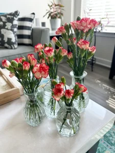 Glass Bud Vases