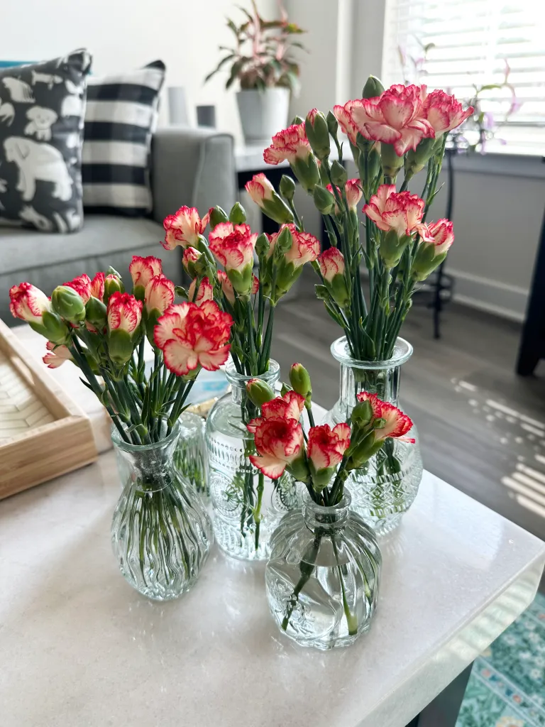 Glass Bud Vases Glass Bud Vases